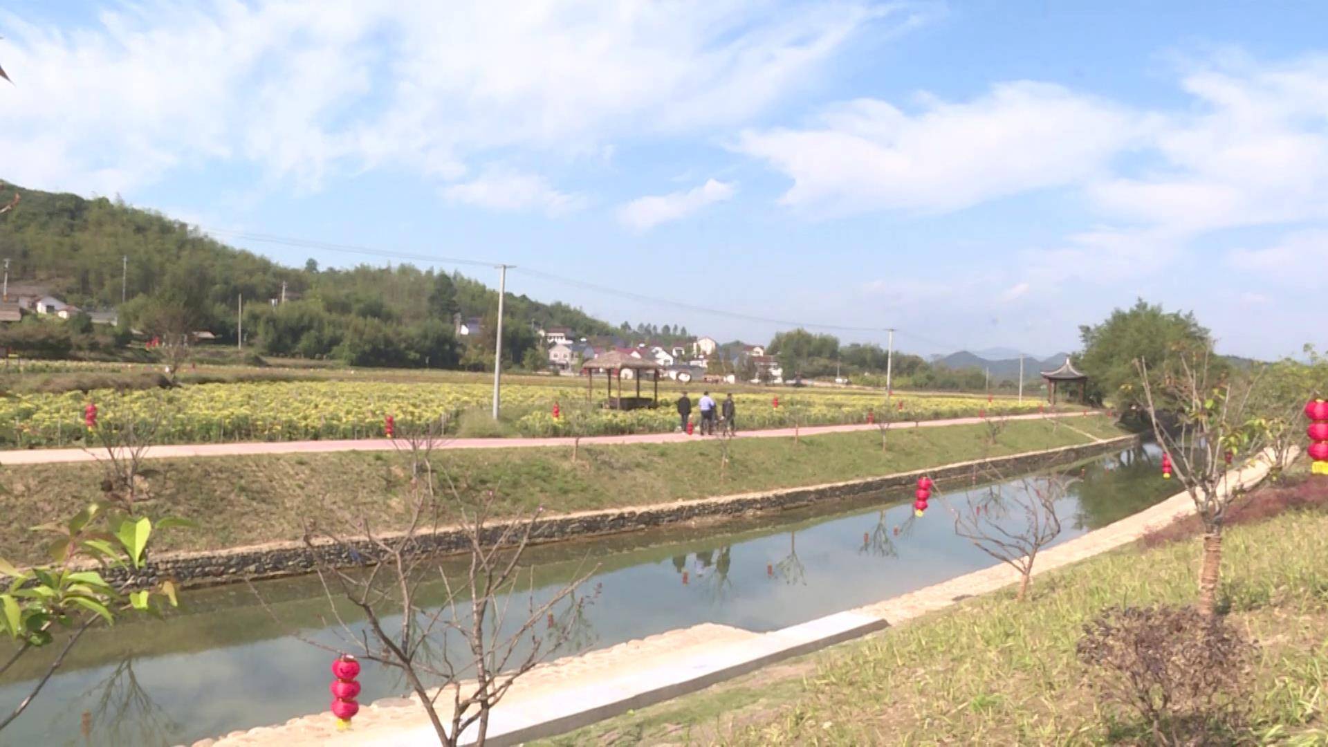 杨滩水系连通项目助推水美乡村建设
