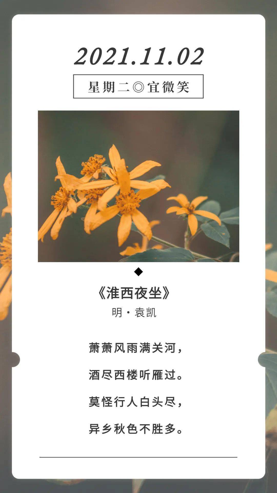 古诗词日历袁凯淮西夜坐赏析