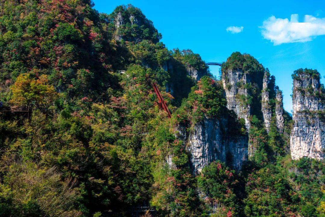 11月看湖北万山红遍
