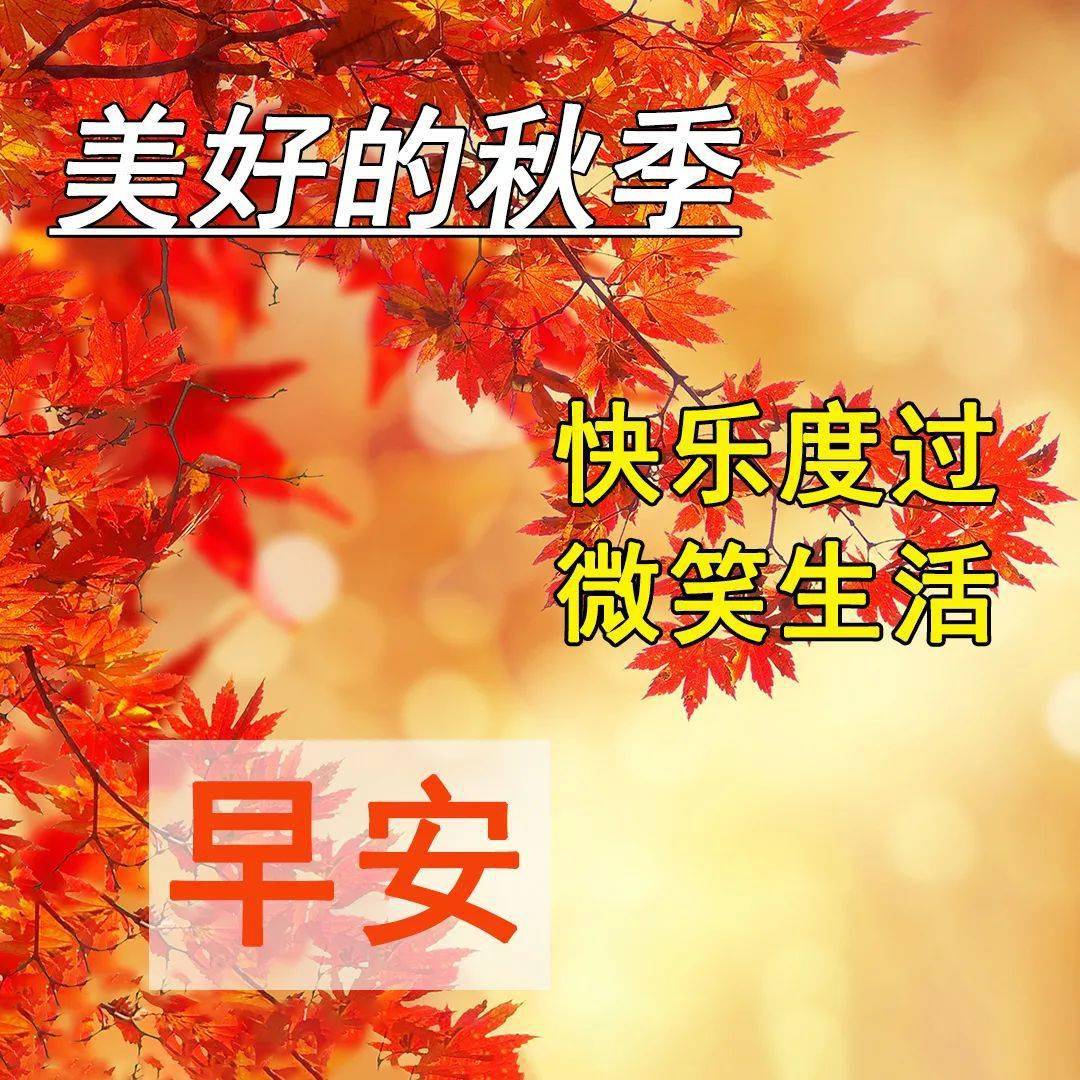 一场秋雨送清凉,暖暖问候心底藏;一瓣落花伴余香,好友牵挂在身旁;一份