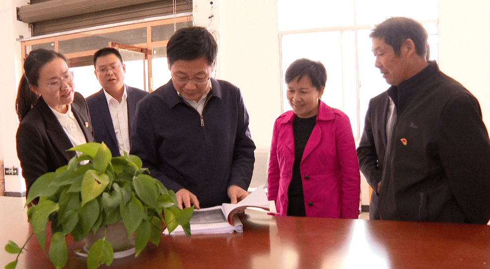 黄冈市委常委,组织部长何飞到罗田县调研