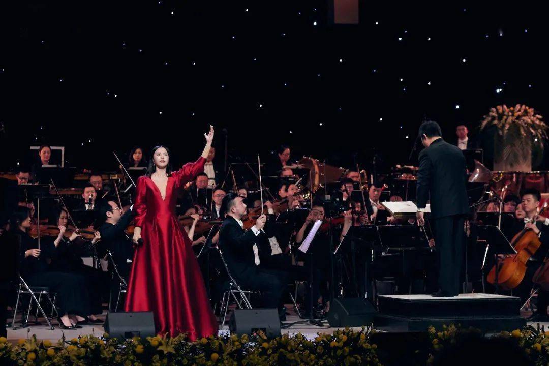 交响曲是什么声音 75c34ca13b2d4c2fa8035a9e37e54d35.jpeg