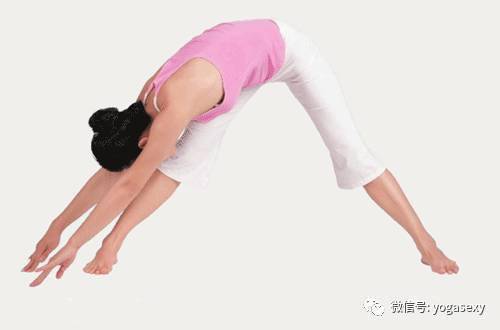 亚新体育27个 初级瑜伽体式图文详解（含教练纠正）(图15)