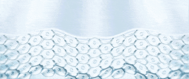 肌肤科颜氏高保湿面霜 半价捡漏