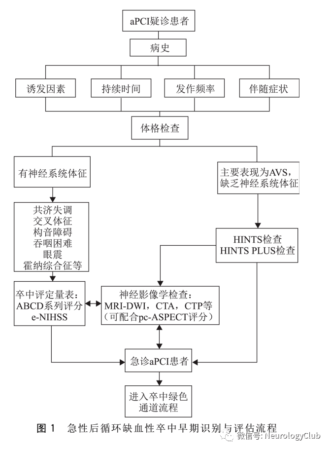 綜合征|神經指南：急性后循環缺血性卒中早期識別與評估專家共識