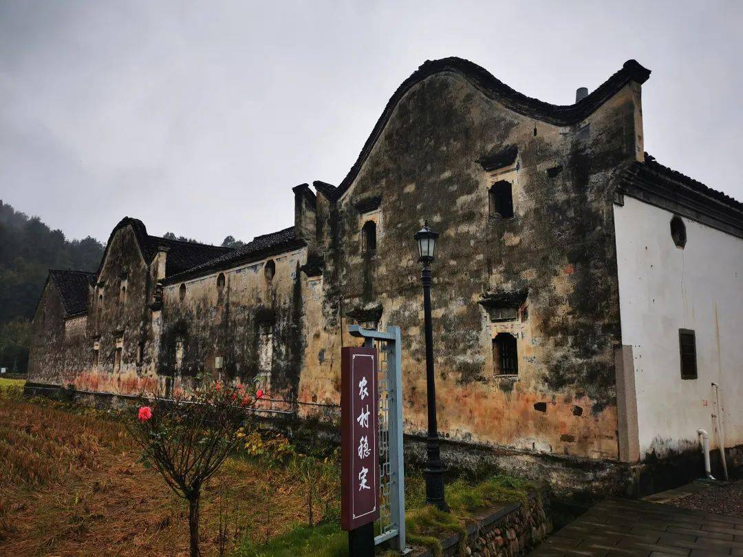 走古村,骑绿道,赏花谷,诸暨交旅融合打造"田园璜山"_璜山镇