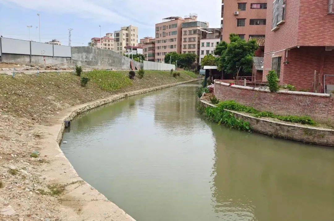 张槎莲塘环村涌黑臭水体整治初验合格