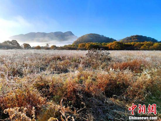 游客|湖北神农架大九湖最美秋景“上线”