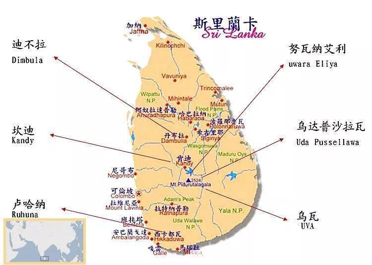 这里独特的地理位置和较大的日夜温差成就了世界闻名的锡兰红茶,至今