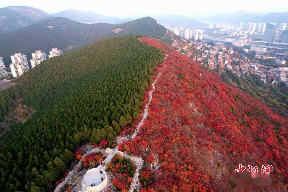 航拍|航拍济南蝎子山 半边翠绿半边红