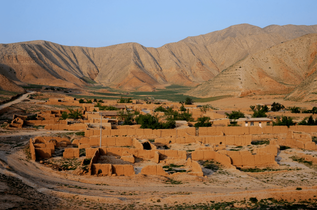 新华社记者与西海固草地周刊新华社建社90周年