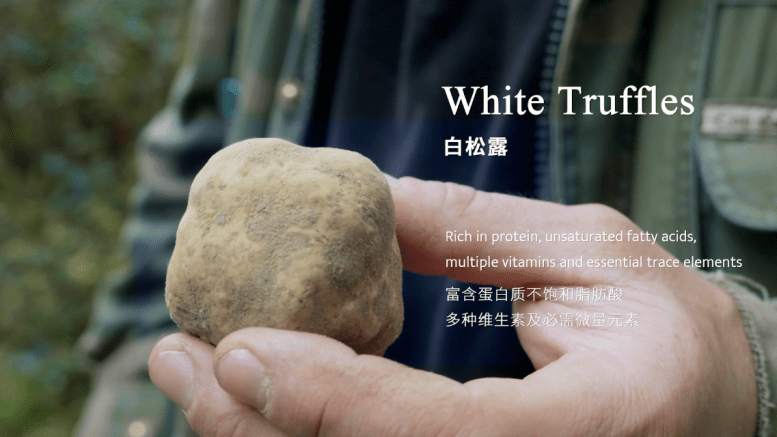 阿尔巴高级料理涂脸上!这体验也太棒了