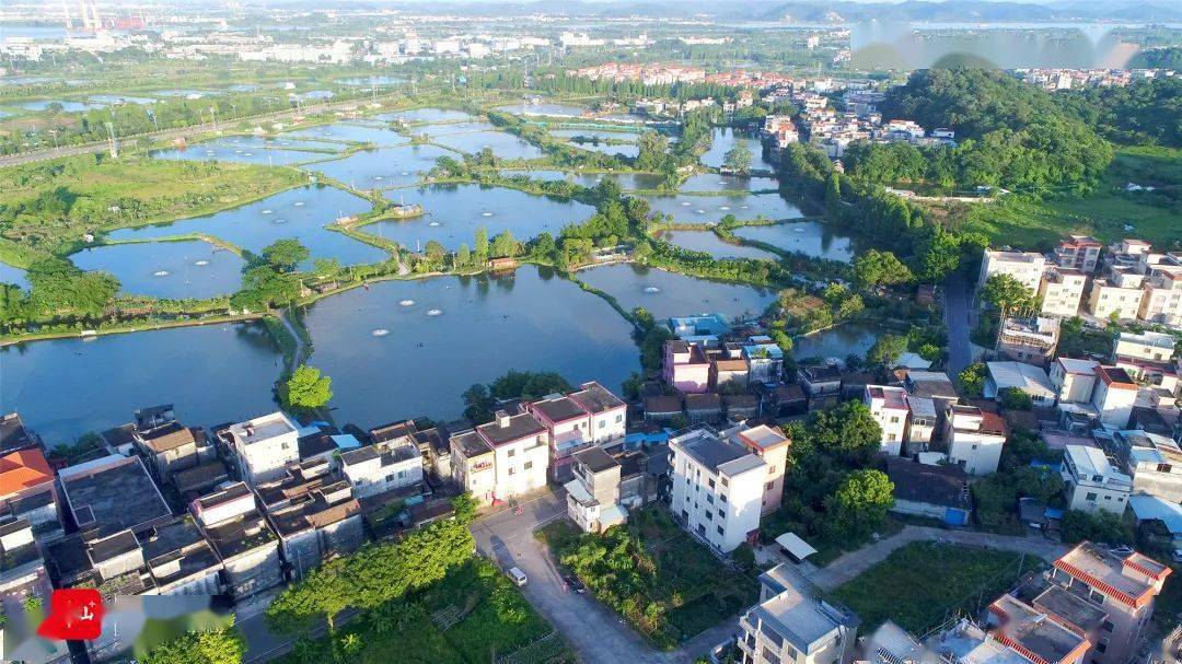 发挥优势!均安镇未来发展目标定了