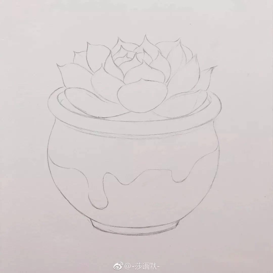 彩铅多肉教程零基础也能学会的彩铅多肉植物教程一学就会
