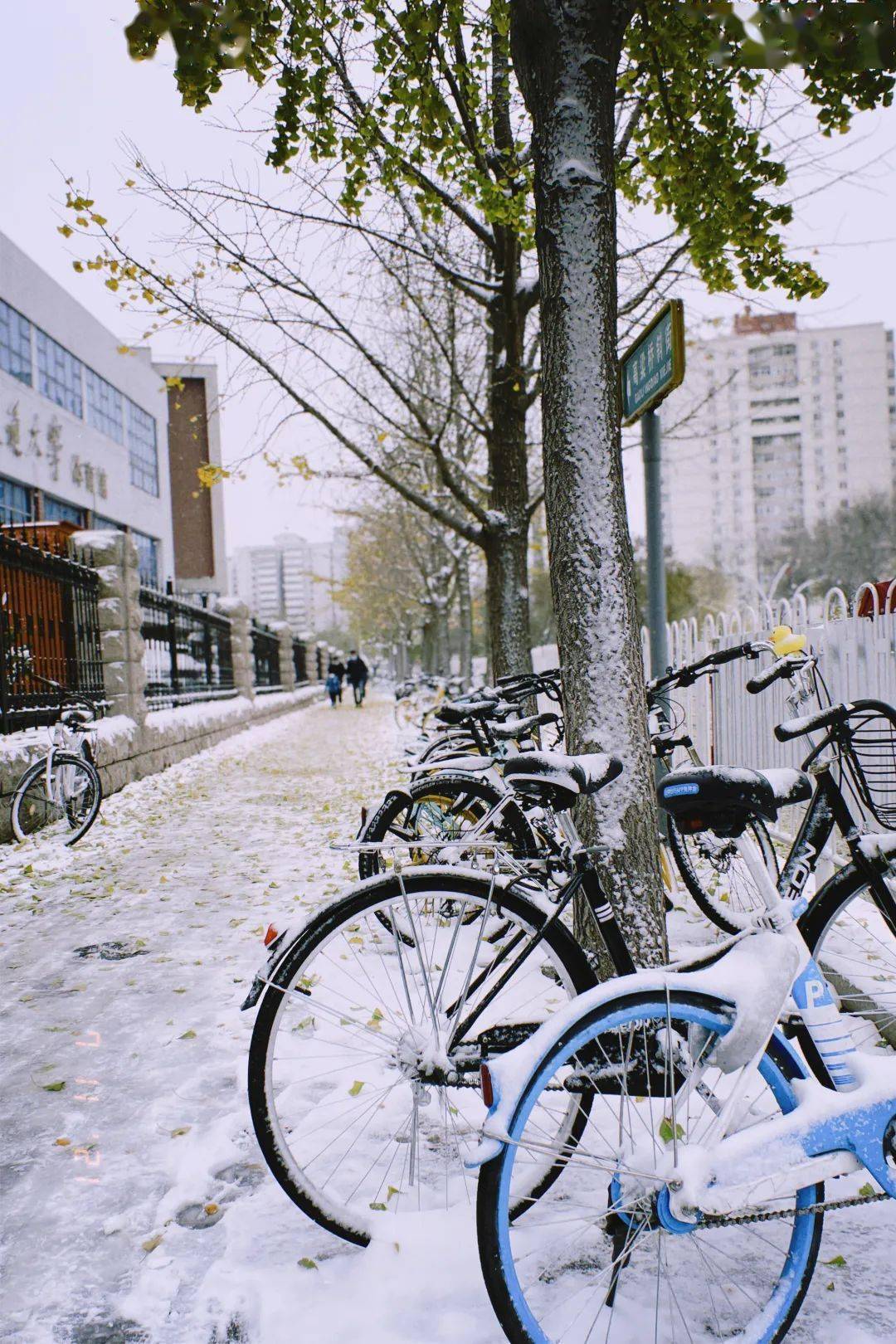 雪人故宫红果园一篇推送让你看尽初雪