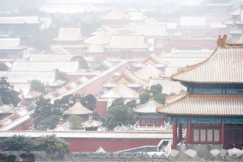 大雪|雪，一片一片一片一片......