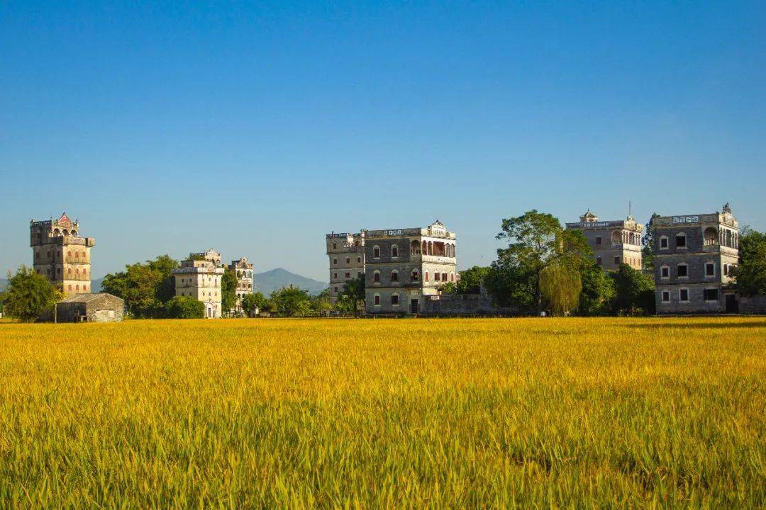 伟宗江门，处处好“丰”景！