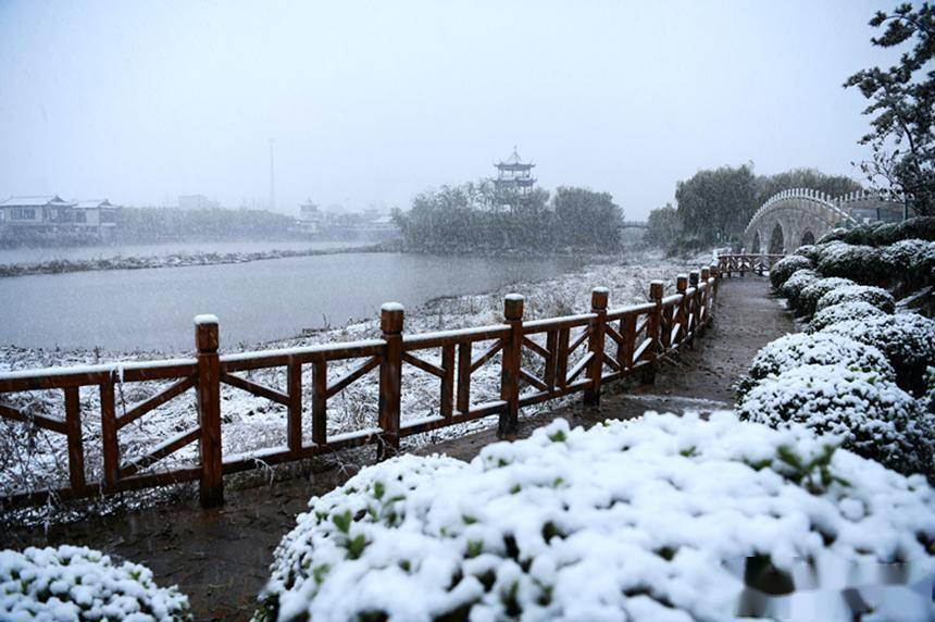 图片直击你等的首场雪来了立冬节气雪景美不胜收