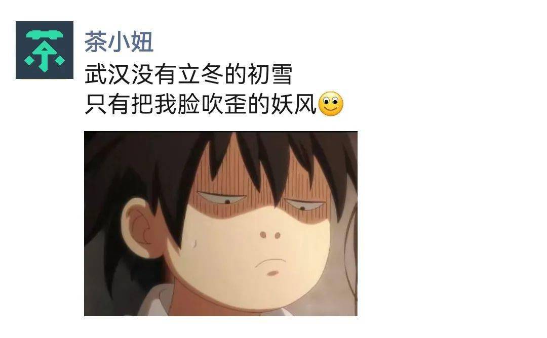 谢谢武汉妖风砸我满头树枝和鸟屎