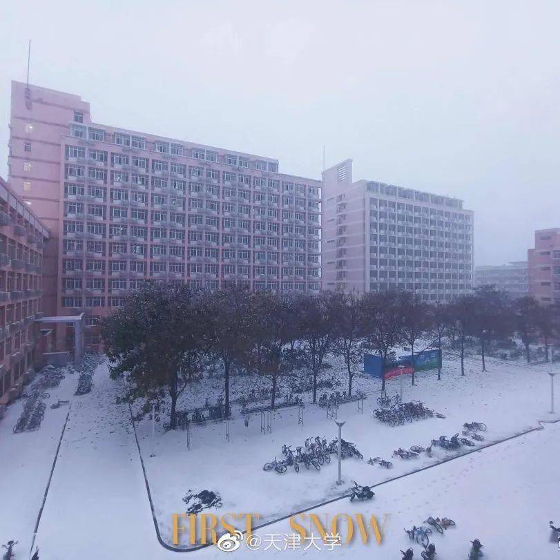 天津高校雪景图鉴！立冬迎初雪，感谢有你！