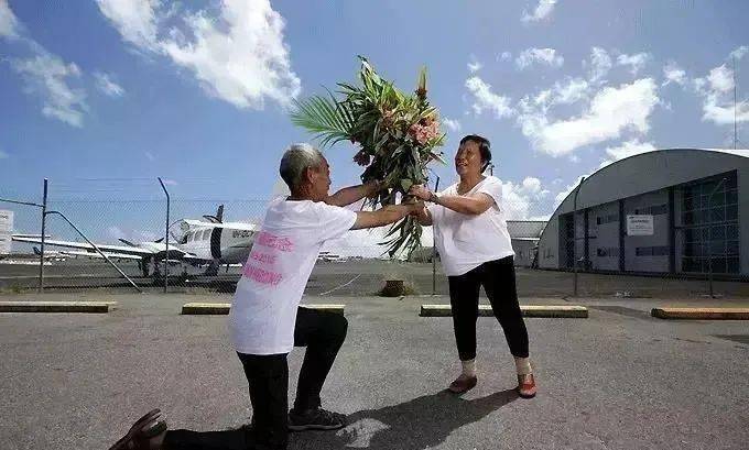 父亲|北大才子将70岁患癌父亲带到国外后，从4千米高空跳下，结局出乎所有人意料......