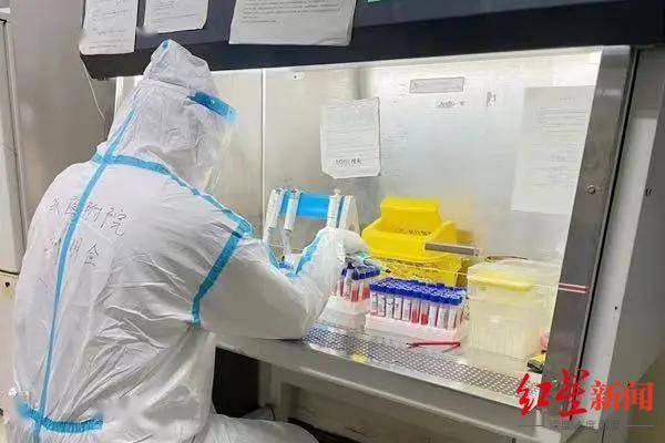 检测|核酸结果出得太慢？从采样到出结果，一份标本要走七大步骤