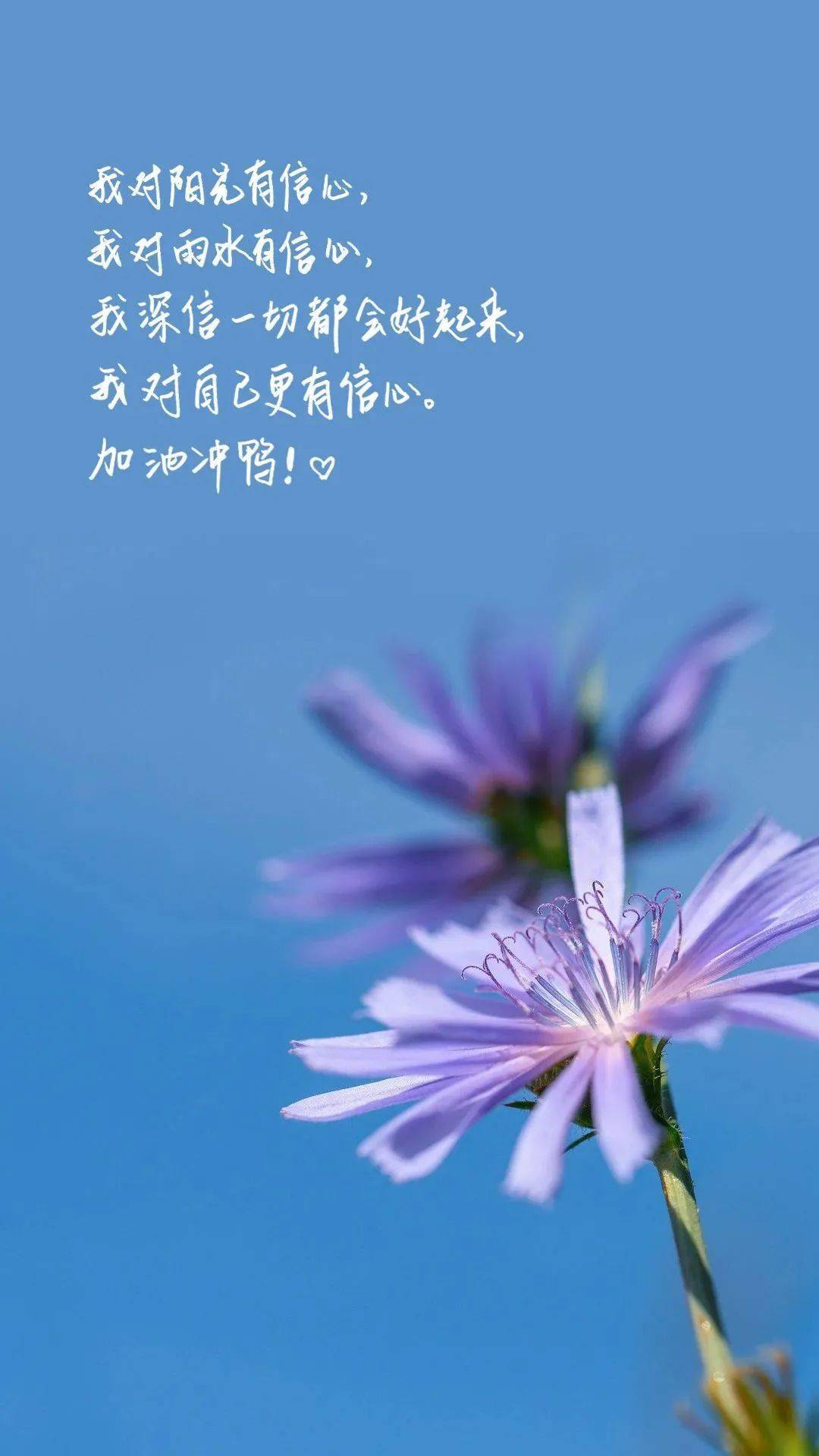 【清新励志桌面壁纸】【诺基亚--专用锁屏壁纸】适合想努力的你相信总