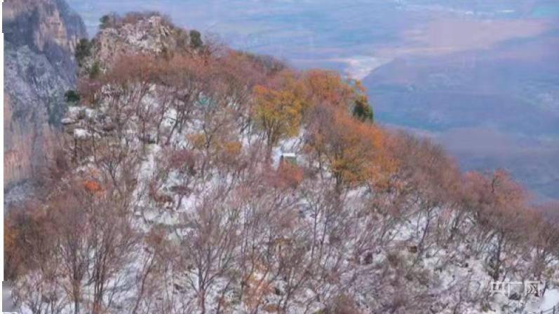 两季|河南云台山迎立冬初雪 同时呈现秋冬两季盛景