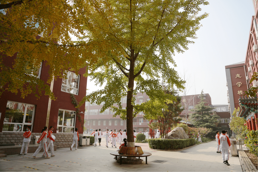 北京市育英学校世纪林图片