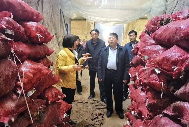 磁县政府副县长路金锋深入邯郸市禾下土种业有限公司走访调研