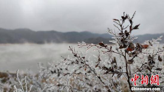 影响|浙江清凉峰保护区迎雾凇