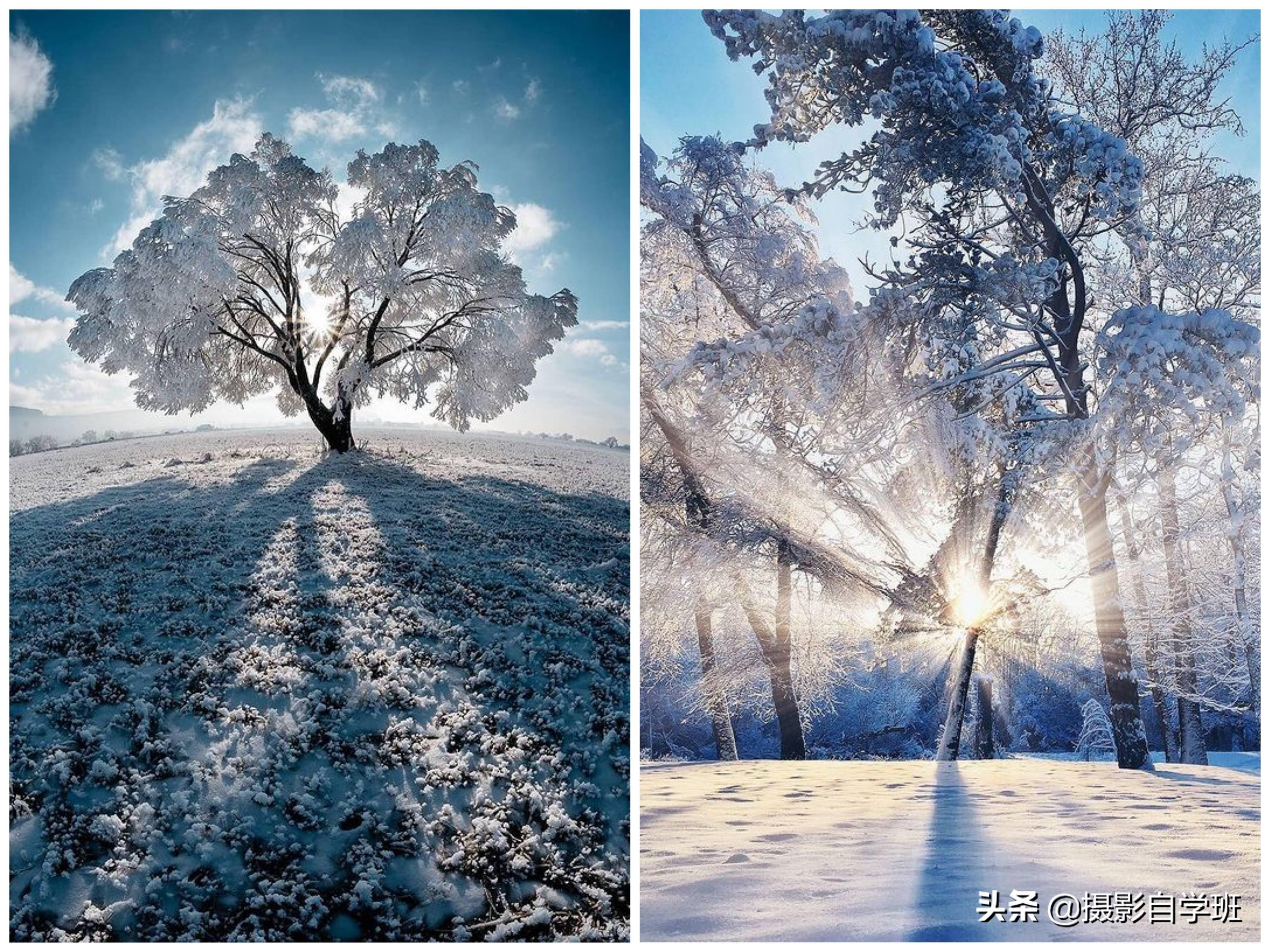 冬天的第一组雪景照片