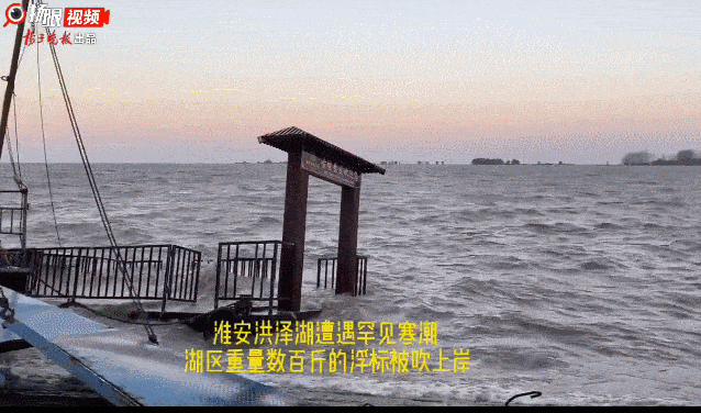 事发淮安！视频震撼！数百斤重的浮标被吹上岸！