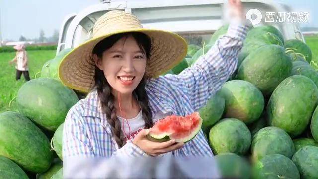 麦小登送外卖的女孩被迫回家继承家业惊动央视前来采访