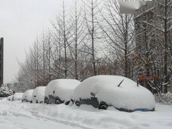雪地靠喊找手机阳台切豆腐徒手敲车窗东北这场罕见暴雪惊了网友
