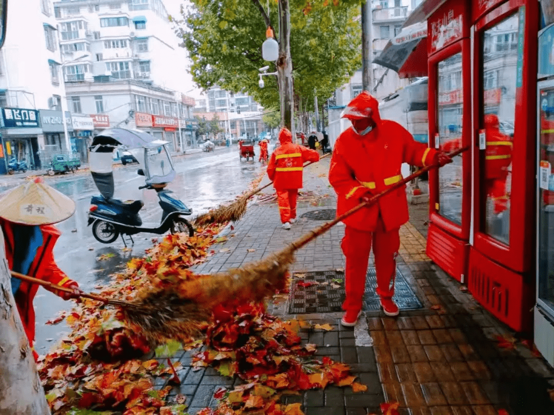 寒風冷雨中合肥萬名黃馬甲一天清掃落葉200餘噸