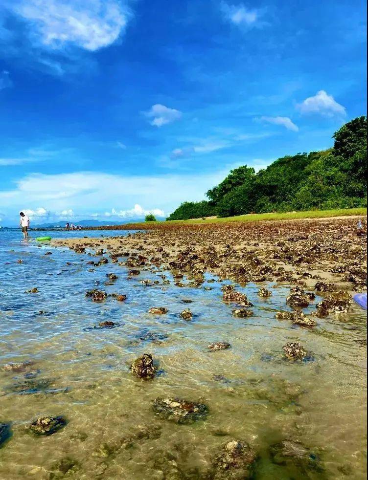 新线【美爆了】依山傍海小桂湾码头 骑行最美海滨绿道 品肥美海鲜