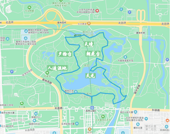 双11奥森公园荧光夜徒交友会,你有一场百分之百的约会_活动