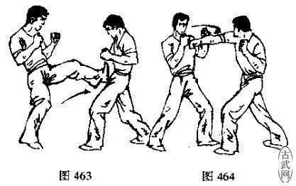 散打实战防守反击技巧防拳腿和拳肘