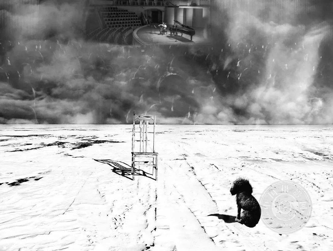 摄影|2021丽水摄影节 | 《疫惑》王东摄影作品展