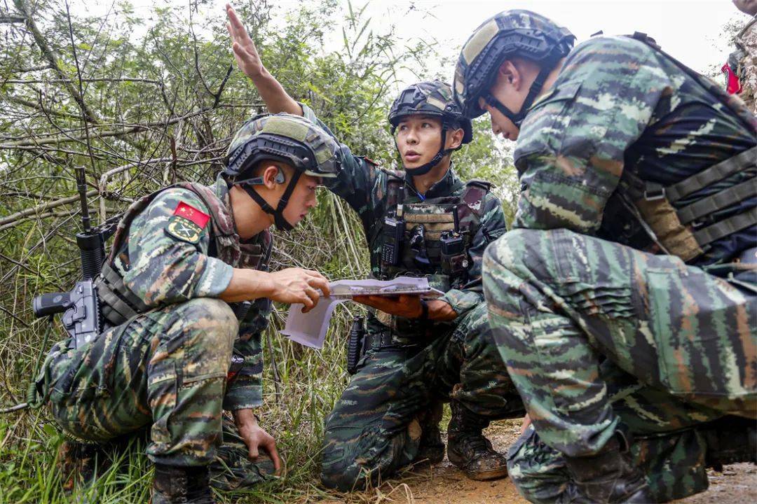 橄榄绿武警浙江总队机动支队武警河池支队武警徐州支队