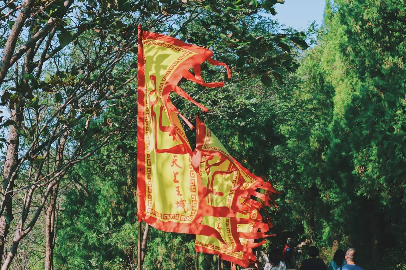 地貌|追寻《长津湖》雷公的念想，寻山东临沂的小桥流水和山河