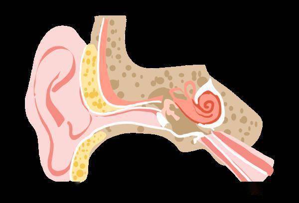 男子|杭州一男子爱掏耳朵，耳朵竟“发霉”了？这些习惯可能你也有