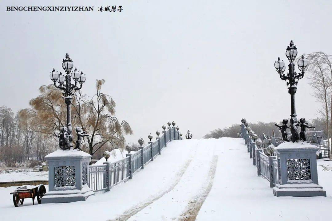 冰城暴雪冻雨之时,却让哈尔滨成为冬的水墨画卷