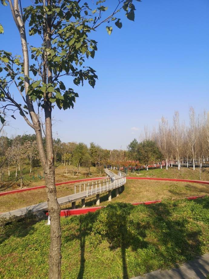 东石公园开发区旁一个陌生的郊野公园