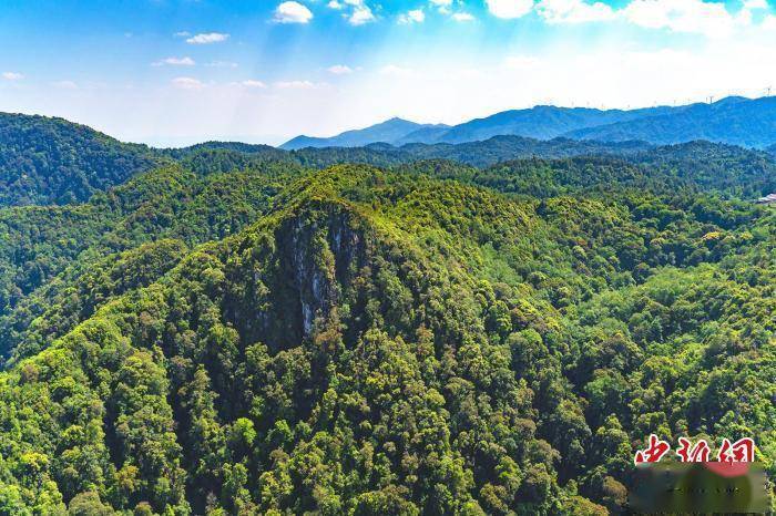 专家分析:云南今冬明春森林防火形势严峻复杂