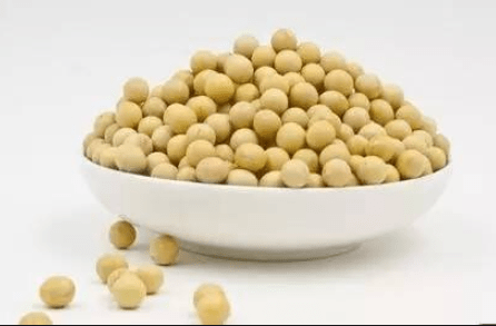 豆科植物根瘤固氮能力 与转录因子NLP家族有关