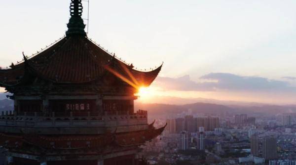 历史|文山三七宣传片——《时光里的三七》