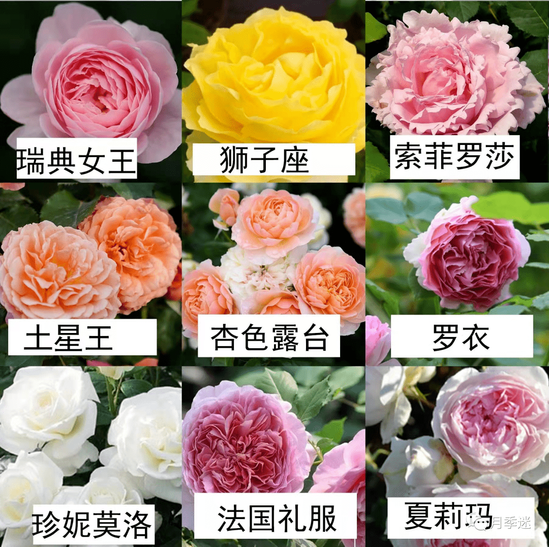 6c7209c17ac8424a92ee805843ec6c49.png