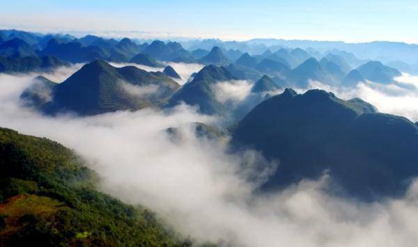 历史|文山三七宣传片——《时光里的三七》